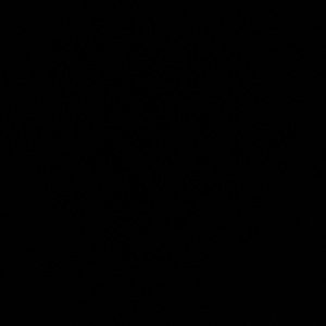 Ignore this, accidental copy